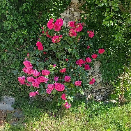 Le Romarande, Detente Avec Privatif Heubecourt-Haricourt